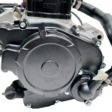Bashan 300cc AC300 Engine Motor Offroad Quad Dirt Bike UTV ATV Buggy GoKart