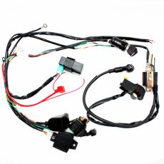 YX 140cc Kick Electric Start Semi-auto Engine Wiring Kit Carb PIT DIRT BIKE