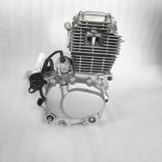 BIG HEAD 250cc Electric Start Air Cooled Manal Clutch Engine Motor PIT DIRT BIKE