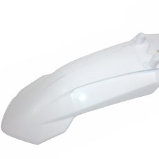 K1-WT (4)